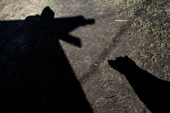 Жизнь вокруг / ***