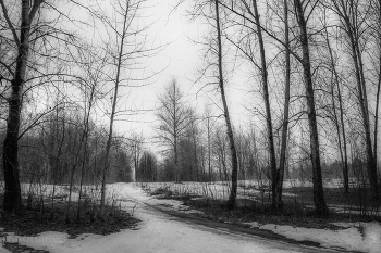 Безмолвие / Апрель