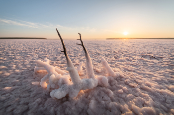 "Солончаки Калмыкии" / Солончаки, образующиеся на месте пересохших озер. Такой ландшафт еще называют сор.
Актуальную информацию о своих фототурах теперь я публикую здесь t.me/arskashkarov
