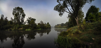 Утро на реке. / Тихое утро июля. Туман над водой.