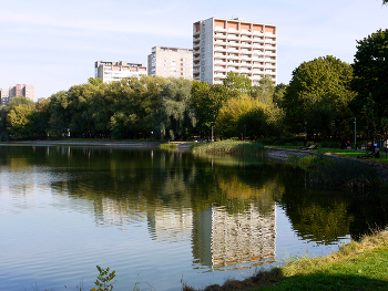 Пруд Садки / Пруд Садки в Москве. Сентябрь 2024.