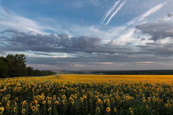 Не за горами / ***