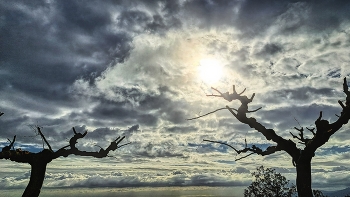 &nbsp; / Alforja - visió des de Puigcerver - Baix Camp
