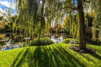 Пейзаж / Живерни