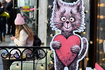 Сердце Невского / Уличные моменты. Санкт-Петербург.