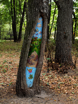 Кузьминский парк / Кузьминский парк в Москве. Сентябрь 2024.