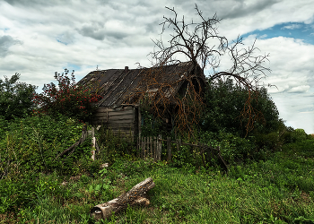 Крыша съехала. / ***