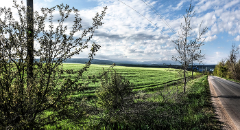 Поля озимые / Крым