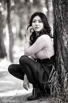 из альбома "логика листьев". / из фотосессии