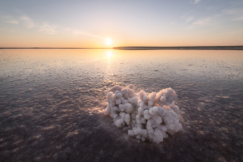 "Калмыцкая соль" / Отложения соли в мелководных озерах Калмыкии.