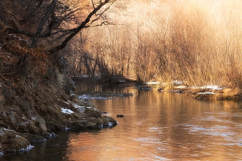весеннее настроение / Утро. Правый берег реки Сучан (Партизанская).