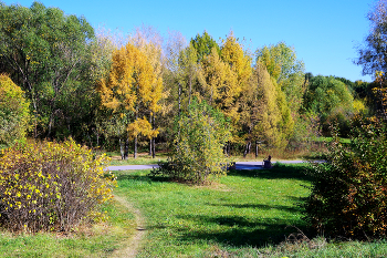 Кузьминский парк / Кузьминский парк в Москве. Октябрь 2024.