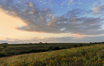 Летним вечером / В полях