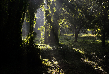 &nbsp; / Парк Альмендарес. Гавана