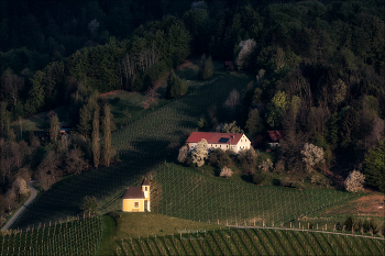 Spring / Утренний свет, озаряющий холмы Гамлитца, где среди виноградников и лесов возвышается часовня.
