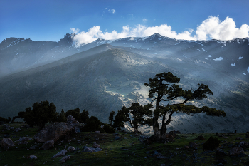 Фанские горы / Утро в Фанских горах