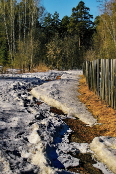 Тропинка. / Томская область.