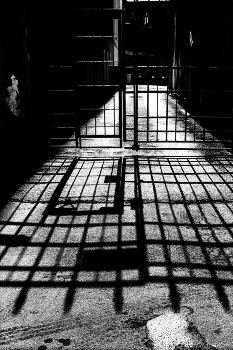 Жизнь вокруг / ***