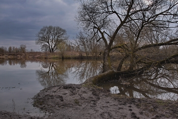 Весенняя распутица / Подмосковье, река Нара.