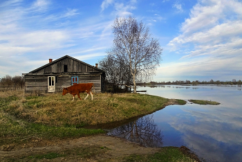 Деревенская весна / Сибирь