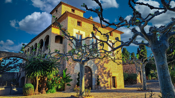 &nbsp; / Reus - bodegues Muller (Mas de Valls) - Baix Camp