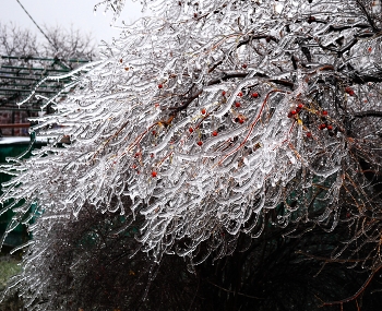 Природа развлекается.** / ***
