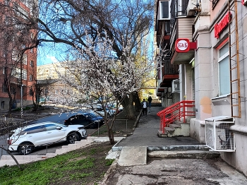 Саратов / ***