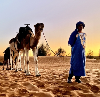 &nbsp; / A caravan returning home at sunset