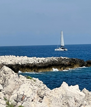 &nbsp; / Sailboat in the sea