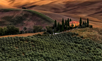 &nbsp; / Toscana