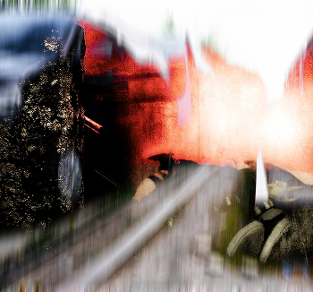 &nbsp; / ***