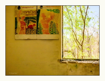 Окно в Май / Здесь время застыло в апреле 1986-го. На стенах — призывы выбирать профессии, которые должны были строить будущее. Дикая Весна заглядывает в окно, где когда-то сидели ученики...