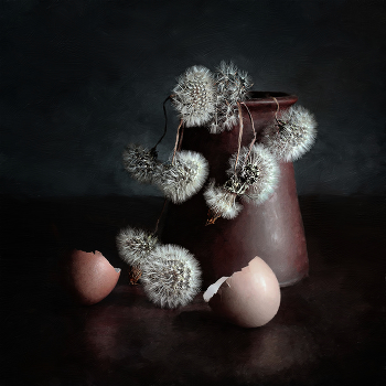 vanitas / одуванчики