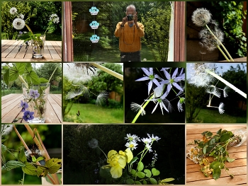 &nbsp; / Eine Idee, drei Wochen lang diese Pusteblumen und andere auf dem Tisch lassen und immer wieder Fotos machen..
Es sind über 100 Fotos geworden