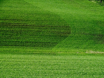 &nbsp; / /\/\/\/\