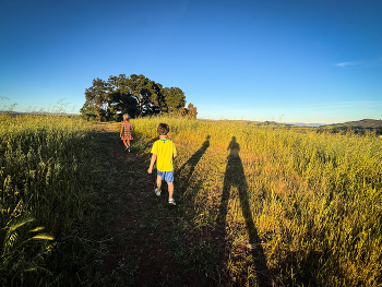 &nbsp; / Sharing hobbies with my kids