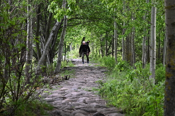 Канонерский остров / Дикие места в черте города