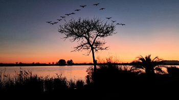 &nbsp; / Delta de l'Ebre - posta de sol al Ebre - Baix Ebre