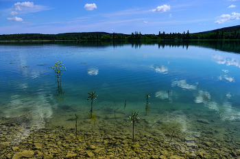 &nbsp; / Крым, Симферопольское водохранилище