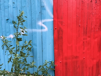 Фифти-фифти / ***