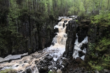 Бурные воды Уковского водопада / Хоть и начало лета, но воды в водопаде бурные, с талым снегом. Солнце в эти места не часто заглядывает и листья на деревьях совсем маленькие.