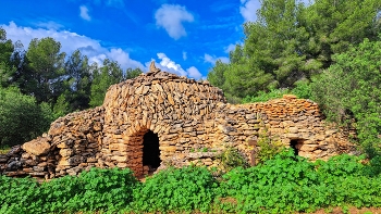 &nbsp; / Pla de Santa Maria - La Capona (barraca) - Alt Camp