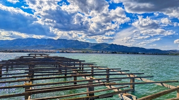 &nbsp; / La Ràpita - muscleres - Montsià