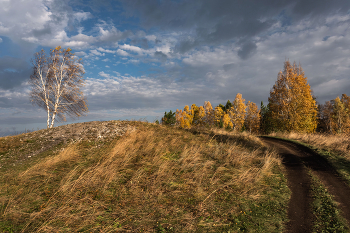 Жёлтая симфония осенних деревьев / Осень, Красноярск