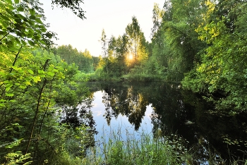 "И доверяется воде, прильнув к спокойной глади, вечер..." / "И доверяется воде, 
 Прильнув к спокойной глади, вечер.
 И с обещанием о встрече,
 Уходит в ночь усталый день ..."
 Н.Буранова
