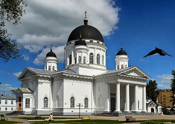 Голубь мира. / ***