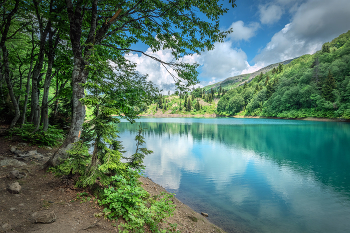 Green Lake In Summer / Изумрудная вода Зеленого озера в Диди Рикети подтверждает его название.
Didi Riketi, Adjara, Georgia.