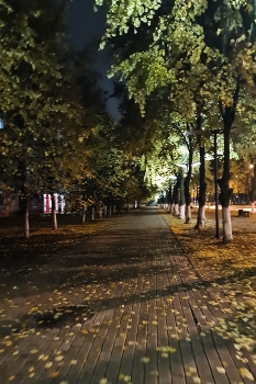 Смеркалось... / Осенняя городская улица