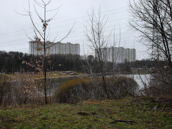 Верхний Люблинский пруд / Верхний Люблинский пруд в Москве. Январь 2025.