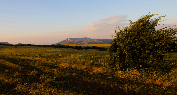 Очень рано. / Крым